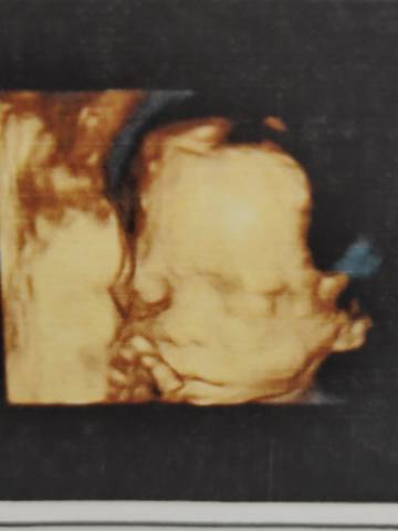 journal_insert_pic_1675408157