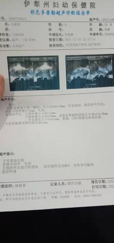 journal_insert_pic_1685272640