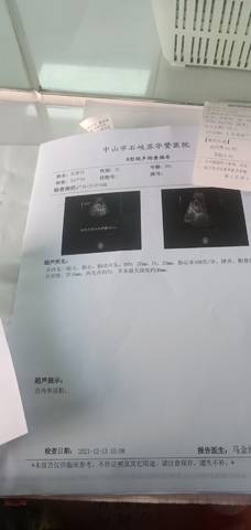 journal_insert_pic_1679263821