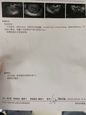 journal_insert_pic_1684809617