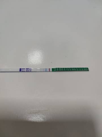 journal_insert_pic_1678883934