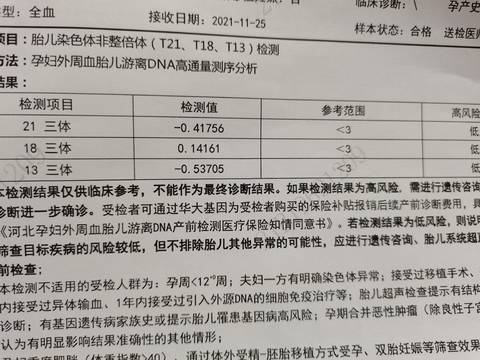 journal_insert_pic_1679818510