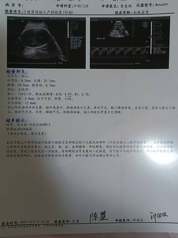 journal_insert_pic_1675703923