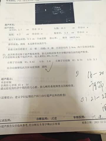journal_insert_pic_1685128758