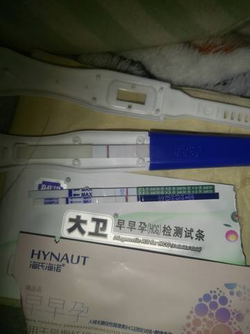 journal_insert_pic_1684016852