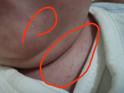 journal_insert_pic_1685827520