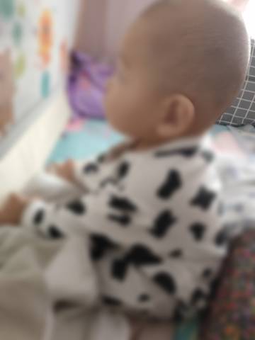 journal_insert_pic_1686744503