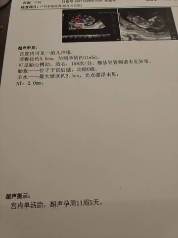 journal_insert_pic_1687844720