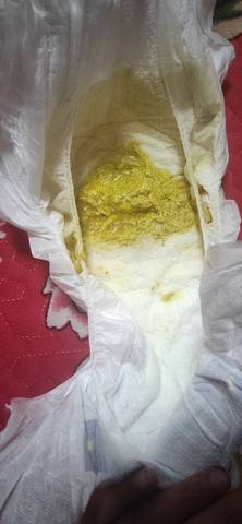 journal_insert_pic_1719875887