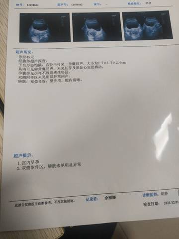 journal_insert_pic_1689433225