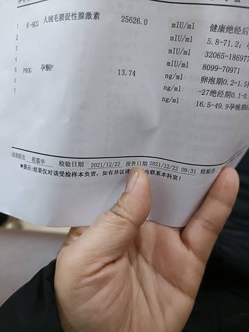 journal_insert_pic_1684043948