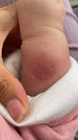 journal_insert_pic_1682060239