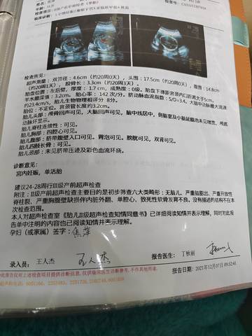 journal_insert_pic_1675311979