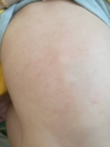 journal_insert_pic_1676748245