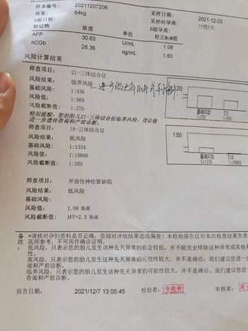 journal_insert_pic_1687343215