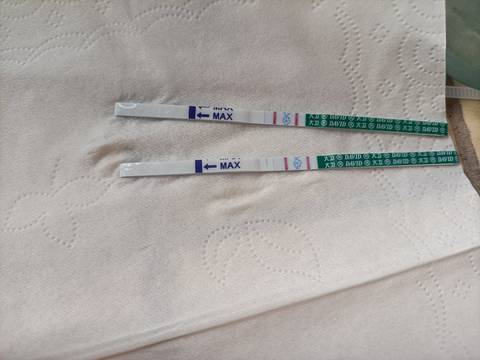 journal_insert_pic_1685259454