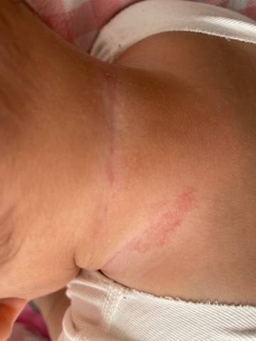 journal_insert_pic_1674677712