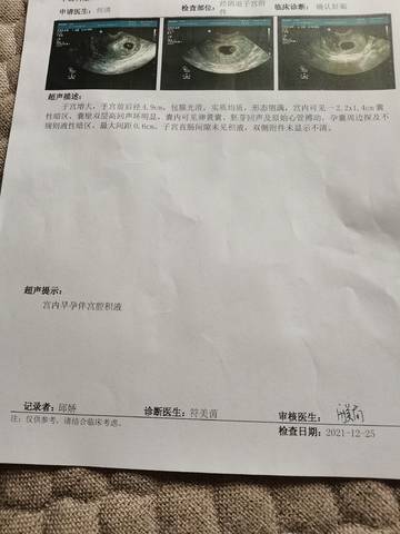 journal_insert_pic_1685796976