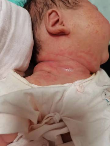 journal_insert_pic_1674417437