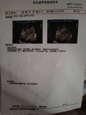 journal_insert_pic_1676932679