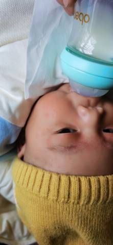 journal_insert_pic_1719663072