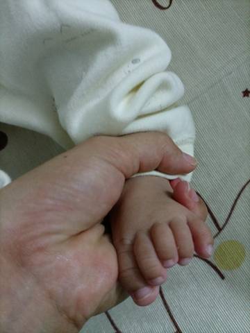 journal_insert_pic_1678671850