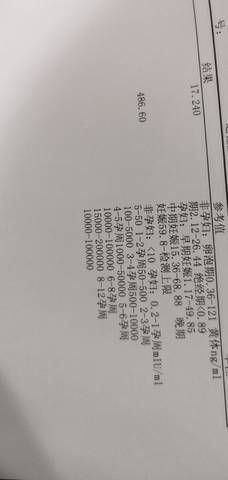 journal_insert_pic_1680171815