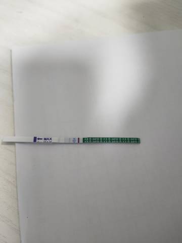 journal_insert_pic_1687209637