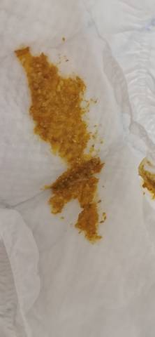 journal_insert_pic_1674041692