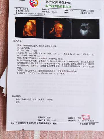 journal_insert_pic_1684928626