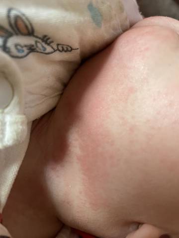 journal_insert_pic_1719522380