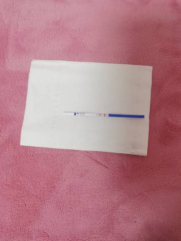 journal_insert_pic_1687983195