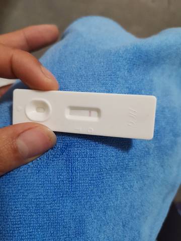 journal_insert_pic_1690374958