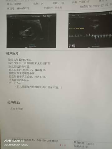 journal_insert_pic_1687241667
