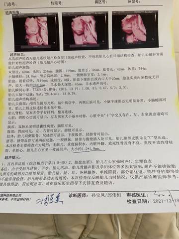 journal_insert_pic_1683104412