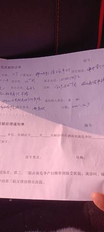 journal_insert_pic_1675631474