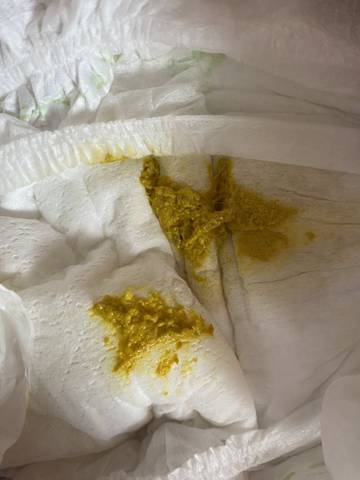 journal_insert_pic_1675504481