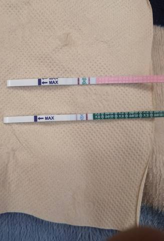 journal_insert_pic_1685727771