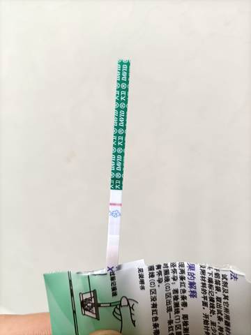 journal_insert_pic_1688785008
