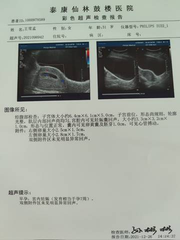 journal_insert_pic_1686950038