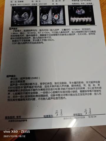 journal_insert_pic_1687840498