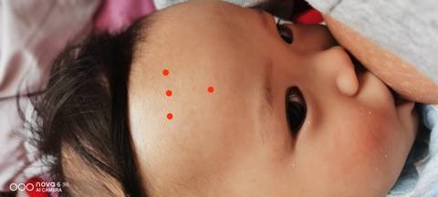 journal_insert_pic_1676189061