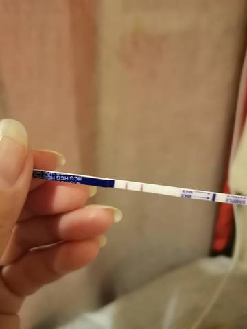 journal_insert_pic_1677163824