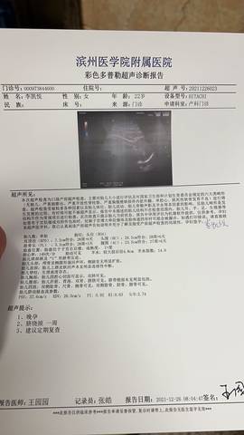 journal_insert_pic_1686352764