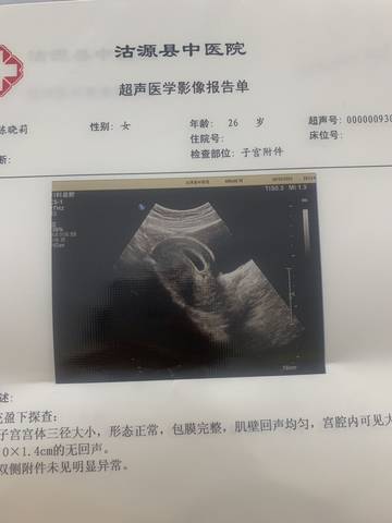 journal_insert_pic_1673072232