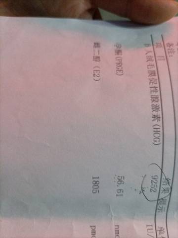 journal_insert_pic_1675576765