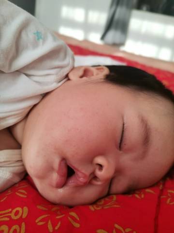 journal_insert_pic_1675488959