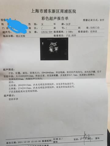 journal_insert_pic_1688941594