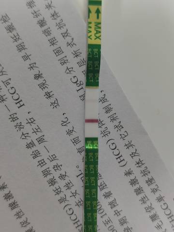 journal_insert_pic_1686301160