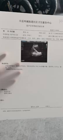 journal_insert_pic_1741043819